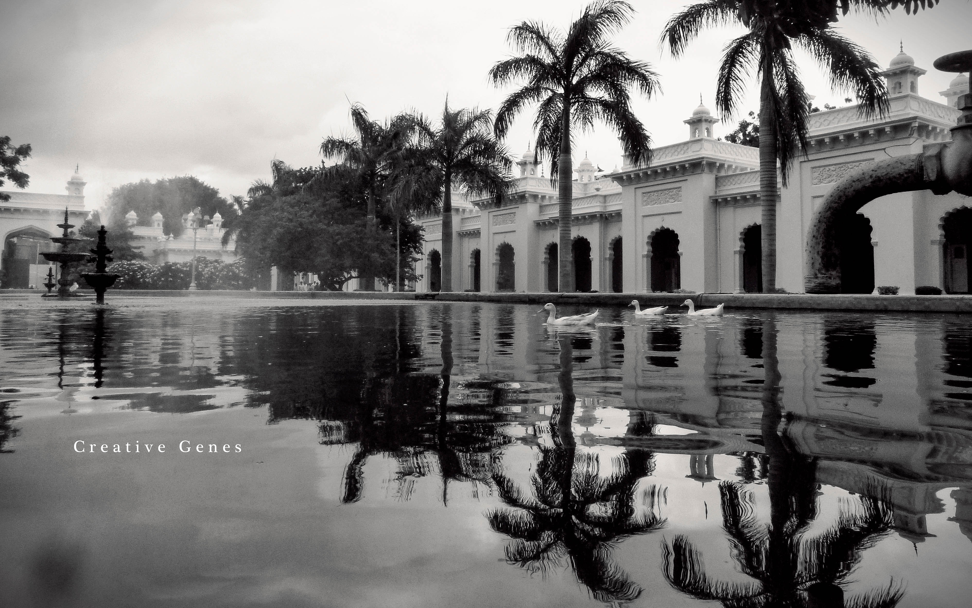 14515250729_d3ae193f76_o