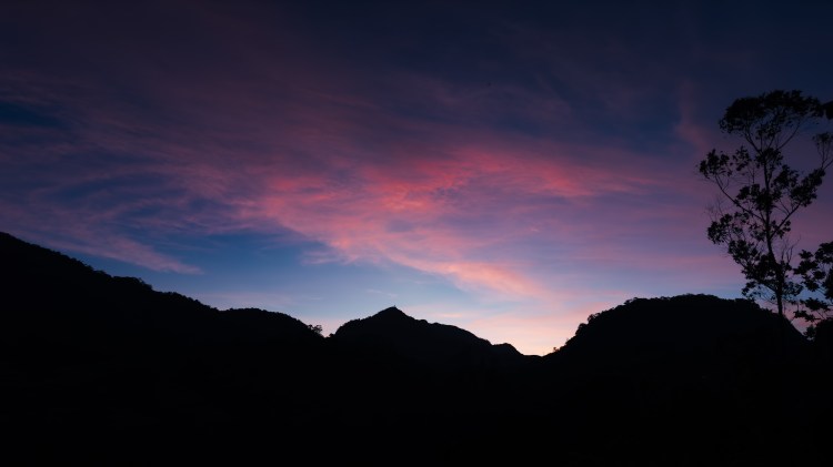 A Luxe 6-Days Kerala Trip with Family – Part II&nbsp;(Munnar)