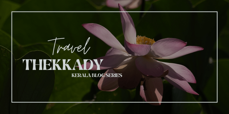 A Luxe 6-Days Kerala Trip with Family – Part III&nbsp;(Thekkady)